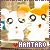 Hamtaro